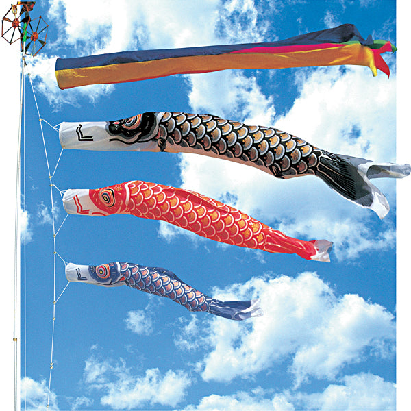 庭園鯉 ゴールド鯉DX 4m 6点セット 119