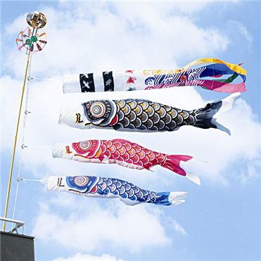 「ゴールド鯉」ベランダ1.5mセット 430