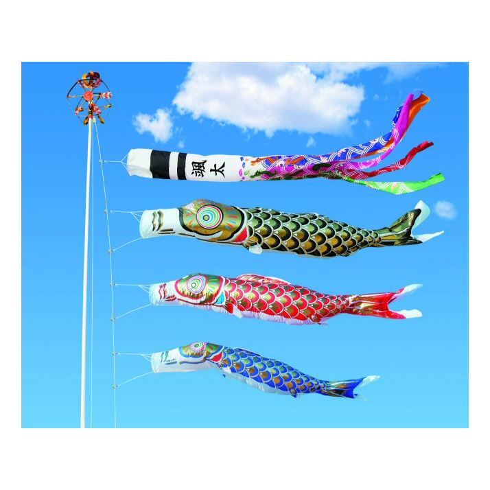 庭園鯉 祥龍黄金鯉 4m 6点セット 294