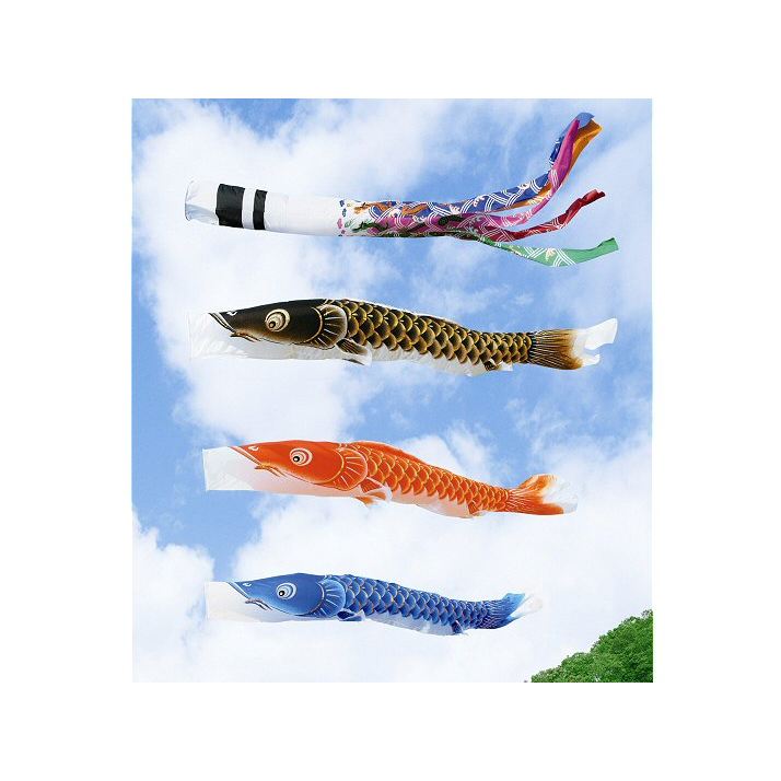 庭園鯉 天照富士 5m 6点セット 041