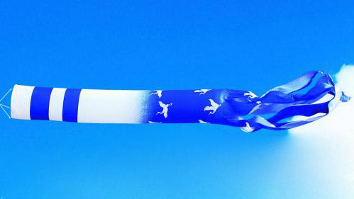 単品 瑞宝吹流し 鯉 1.5m