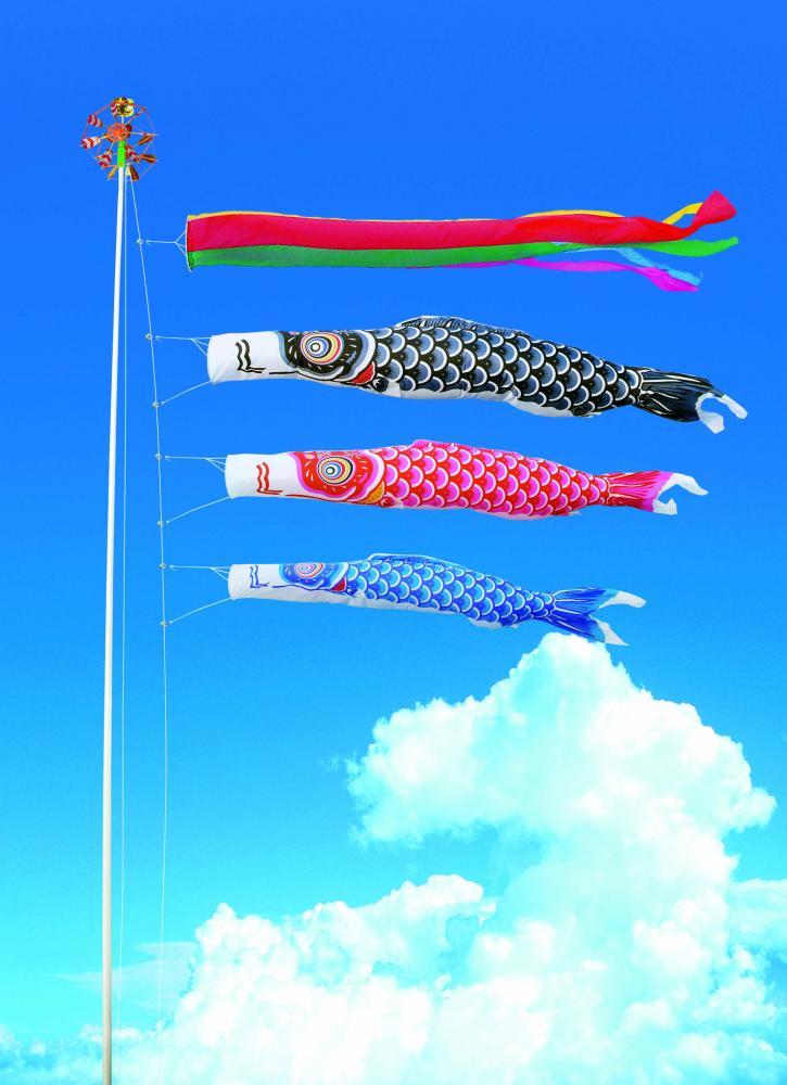 庭園鯉 ナイロン鯉 4m6点セット